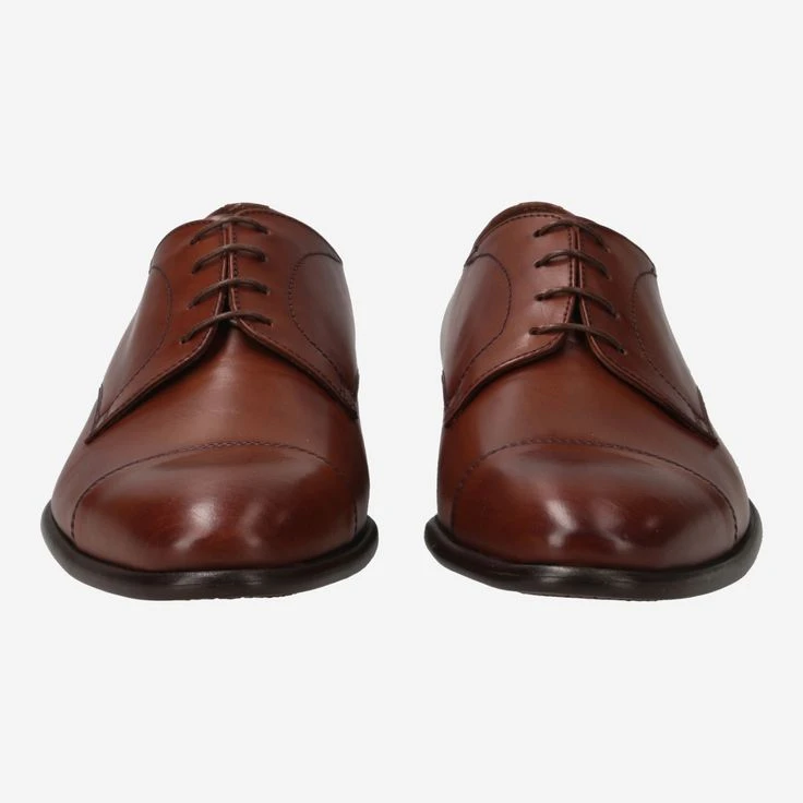 Art. 162 - Brown 1 Art. 162 - Brown