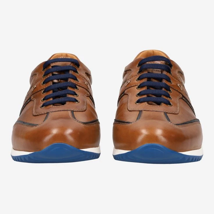 Art. 313610 V19066 - Brown 1 Art. 313610 V19066 - Brown