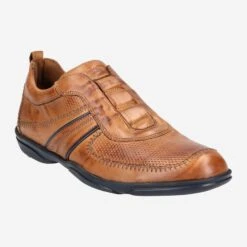 Lloyd Art. BURTON - Brown