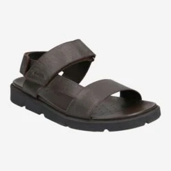 Geox Art.  XAND - Brown