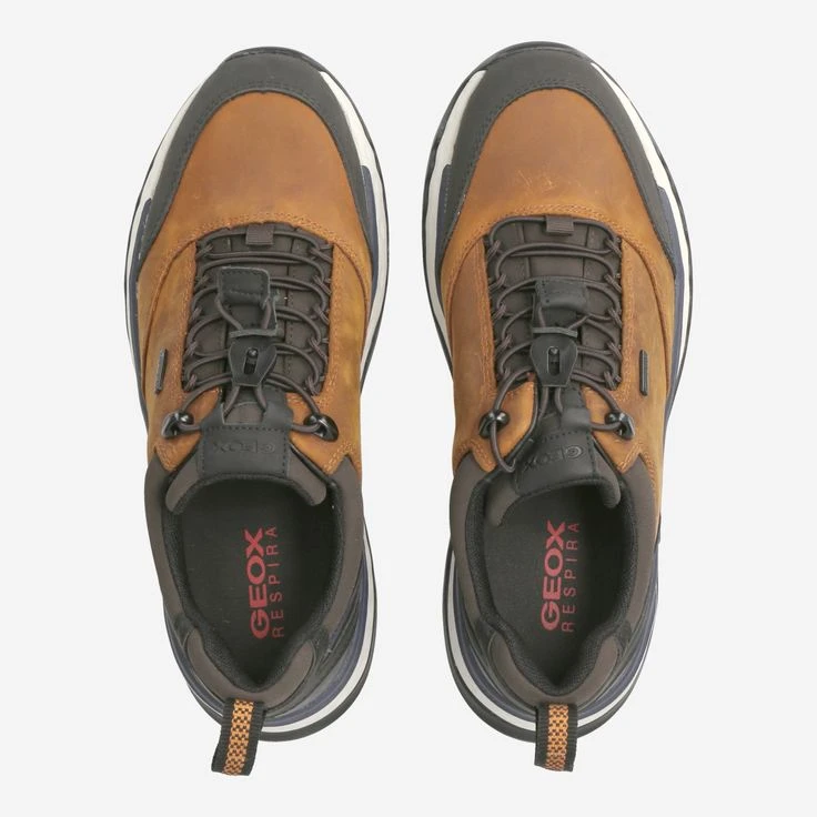 Geox Art. STERRATO - Brown 5 Geox Art. STERRATO - Brown – Bild 5